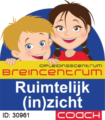 Gecertificeerd Ruimtelijk (in)zicht Certificaat Ruimtelijk (in)zicht - Wendy Overeinder-Sulter, Breincentrum & RMTi